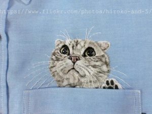 猫シャツスコテッシュ