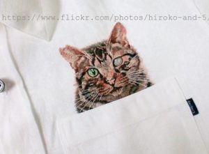 猫シャツさくらねこ